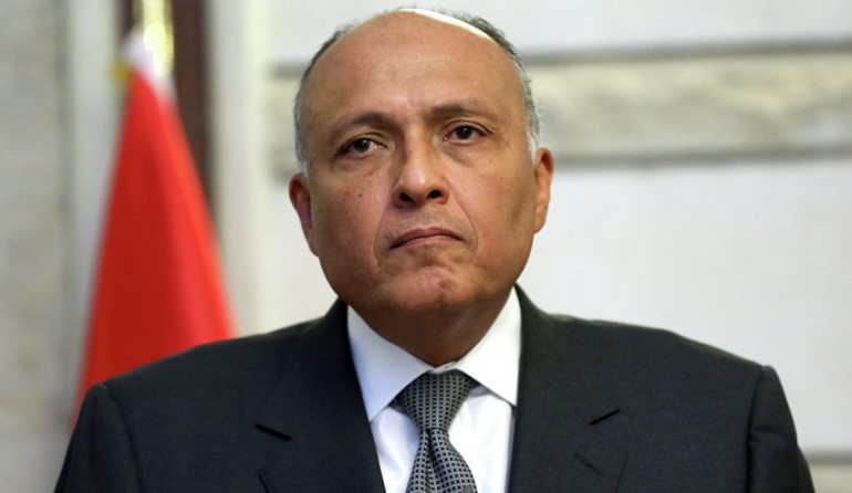 وزير الخارجية المصري سامح شكري