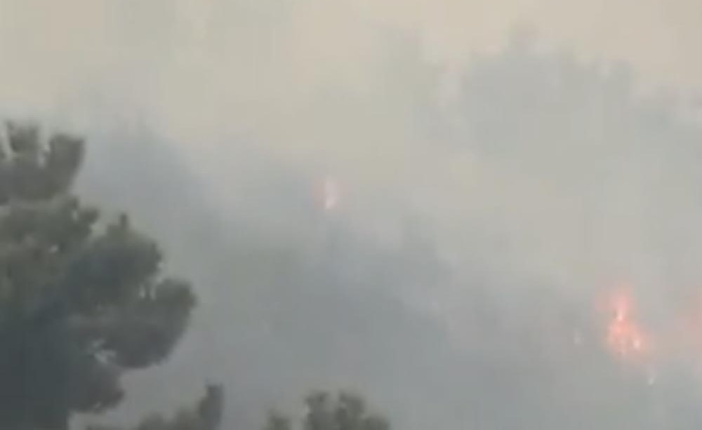 بالفيديو.. عشرات الحرائق تلتهم مساحات واسعة من الغابات ولبنان يطلب مساعدة جيرانه