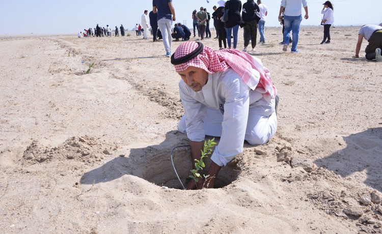 زراعة الأشجار للحفاظ على البيئة﻿