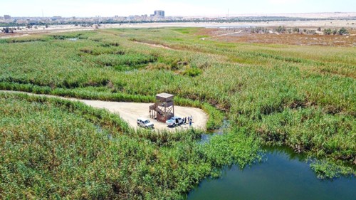 الزيدان: وضع محمية الجهراء على قائمة (IUCN) العالمية دلالة على نجاح جهود المحافظة عليها وتطويرها