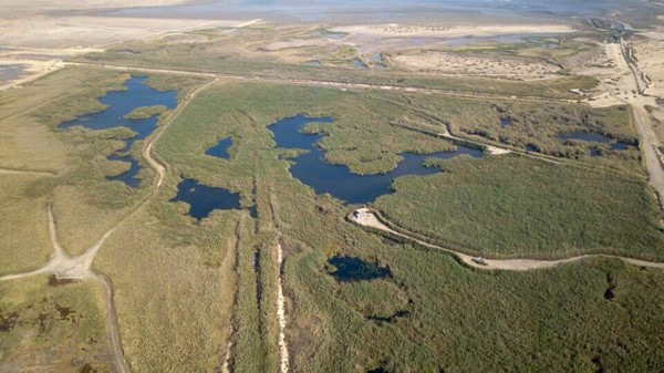 الزيدان: وضع محمية الجهراء على قائمة (IUCN) العالمية دلالة على نجاح جهود المحافظة عليها وتطويرها