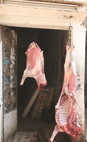 جانب من اللحوم في الهواء الطلق بالجليب﻿