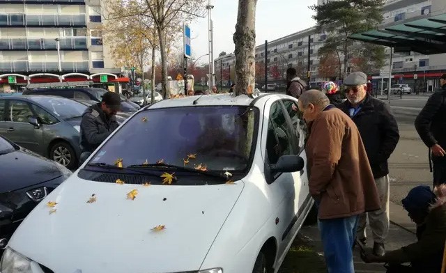 بالفيديو.. حقيقة الشجرة التي اخترقت سيارة مركونة في فرنسا