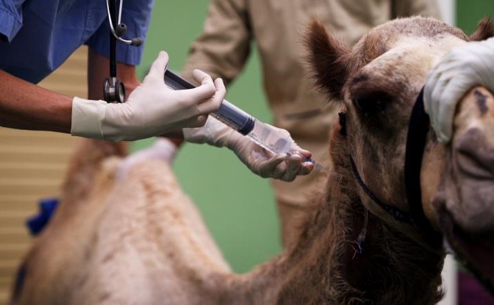 بالفيديو.. بقيمة 10 ملايين دولار.. نظرة داخل مستشفى دبي للجمال