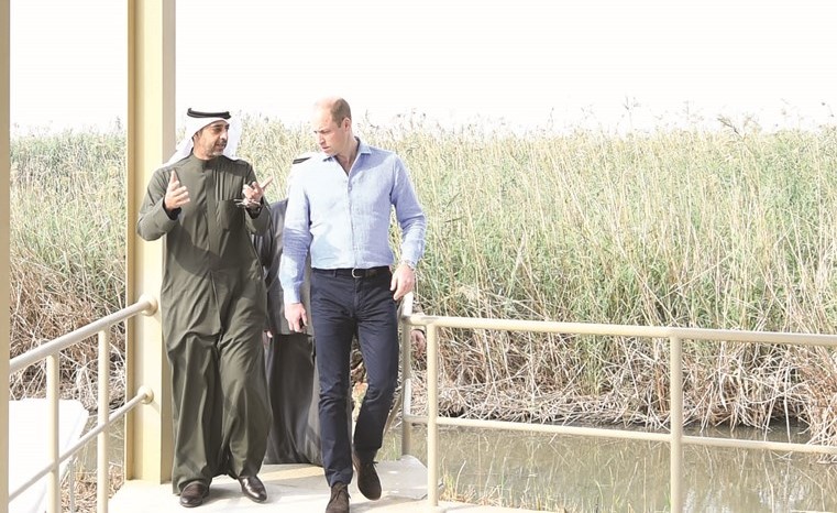 الشيخ محمد العبدالله وصاحب السمو الملكي الأمير ويليام خلال زيارته محمية الجهراء﻿