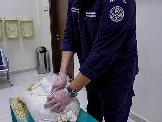 الجمارك: إحباط تهريب 70 كيلو حشيش أُخفيت في شاحنة أعلاف قادمة من إيران