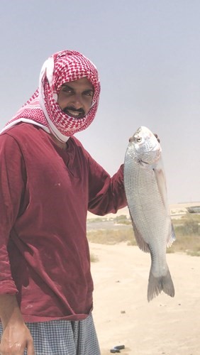 المليحان: سبيطي «الرقوق» يبي ماية الحساب العربي