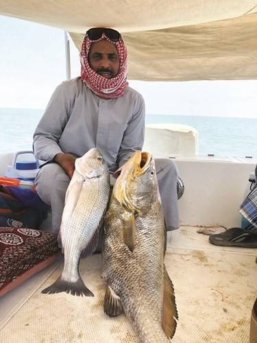 المليحان: سبيطي «الرقوق» يبي ماية الحساب العربي