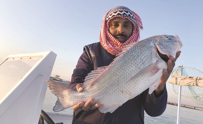 المليحان: سبيطي «الرقوق» يبي ماية الحساب العربي