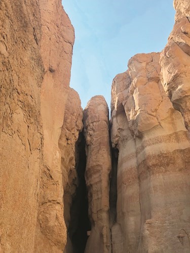 الأحساء... سحر التاريخ