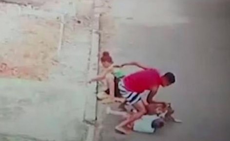بالفيديو .. شاهد ردة فعل أب لحظة هجوم كلب “مفترس” على طفله وغرس أنيابه في جسده