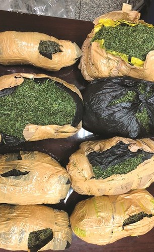 ضبط مصري بـ 360 غرام حشيش وكاميرونية بـ 4 كيلو قات