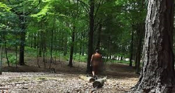 حادث مأسوي لرجل ذهب لقضاء حاجته في الغابة فهاجمه حيوان غير متوقع