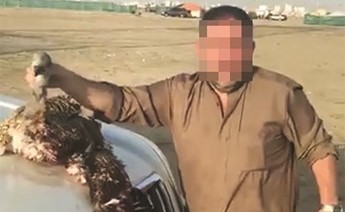 صور من المقطع الذي تم تداوله للوافد وهو يقوم باستعراض صيده من الحباري في بر الكويت