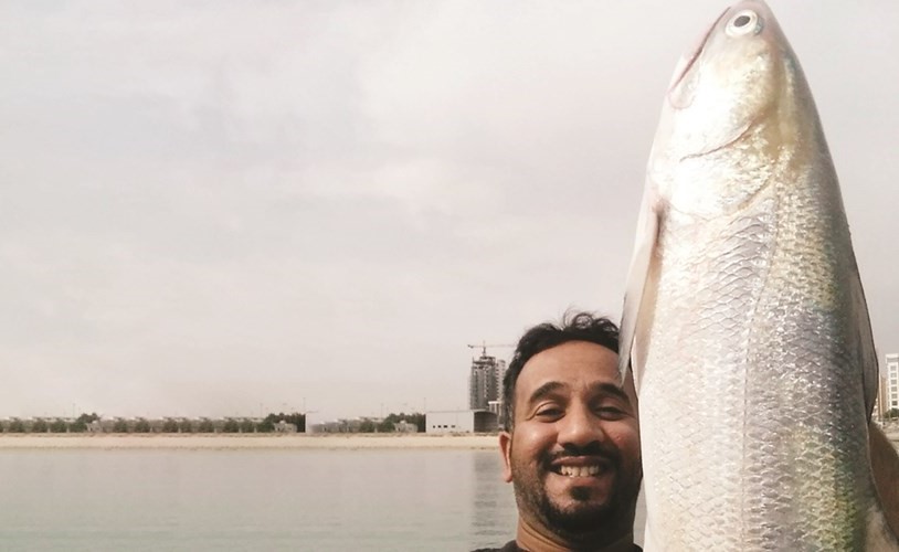 الرميح: الشيمة تبي ييمة حيَّة «زوريَّة» أو «يميامة»