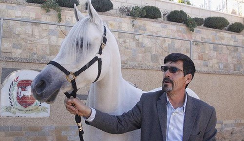 بالفيديو.. ترمسعيا بفلسطين مربط الخيول العربية وميدانها