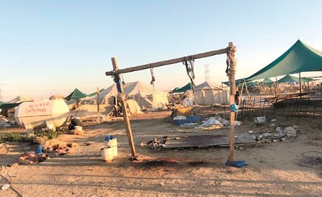 بالفيديو.. مربو الحلال في الوفرة لـ «الأنباء»: خيام العمالة الوافدة والمسالخ غير المرخصة تعدٍ صارخ على البيئة وتهديد للصحة