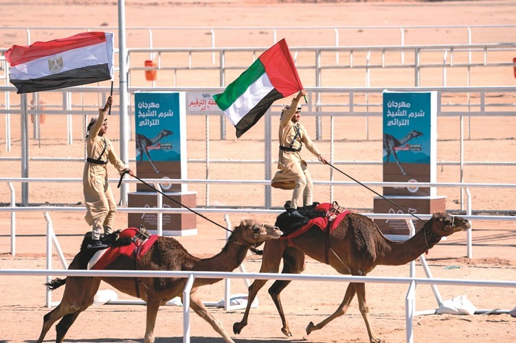 جانب من فعاليات المهرجان في شرم الشيخ أمس