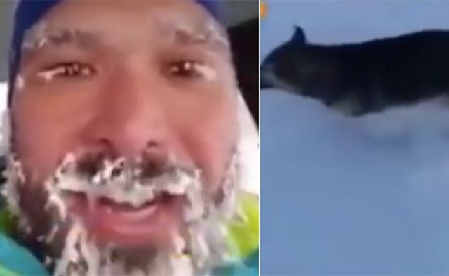 بالفيديو.. تحول الحيوانات لأشباح في مدينة أبو التفاح.. لن تتخيل كم وصلت درجة الحرارة تحت الصفر؟!