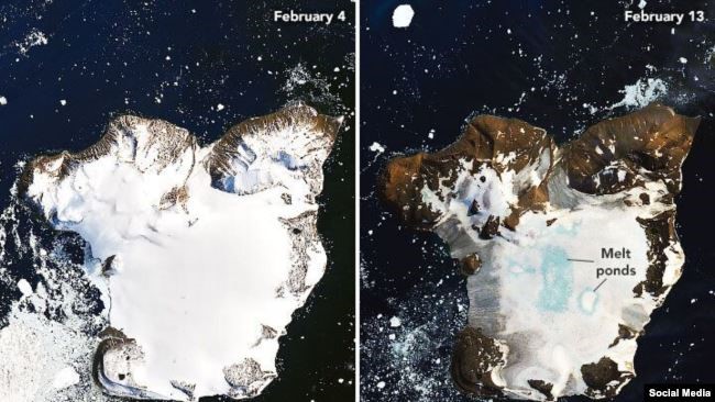 أنتاركتيكا تذوب: 20 % من الجليد اختفى خلال 10 أيام فقط