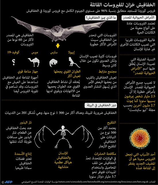 الخفافيش..خزان الفيروسات القاتلة