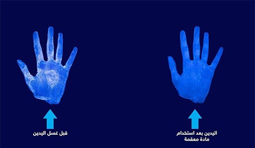 6 صور تكشف ما يفعله الماء والصابون بجراثيم اليد