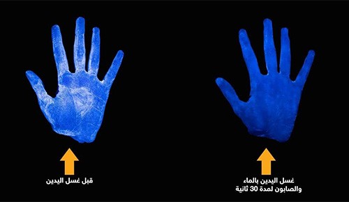6 صور تكشف ما يفعله الماء والصابون بجراثيم اليد