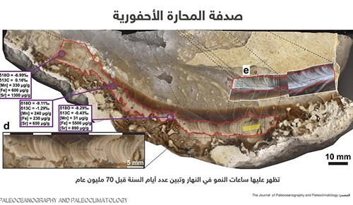 "صدفة" تكشف أن نهار الأرض كان أقصر