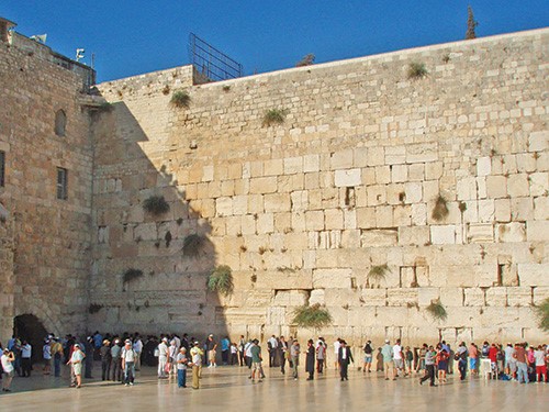 كبير حاخامات القدس مخاطباً اليهود خوفاً من «كورونا»: لا تُقبِّلوا الحائط الغربي