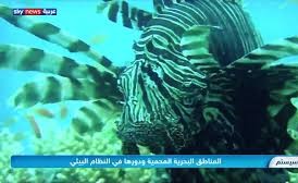 بالفيديو.. المناطق البحرية المحمية.. ودورها في النظام البيئي