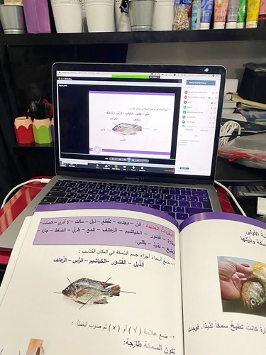 تعليم اللغة العربية