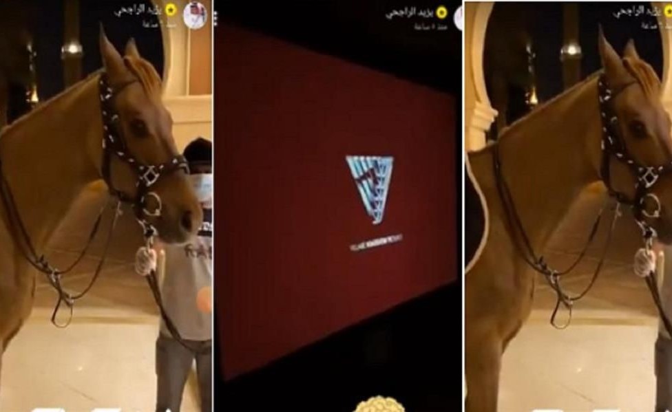 بالفيديو.. يشاهد السينما ويركب الخيل .. يزيد الراجحي يستعرض كيف يقضي الحجر الصحي داخل منزله