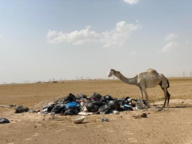 جمعية حماية البيئة: نفايات وبقايا مخيمات وتدهور البر بعد انتهاء موسم التخييم