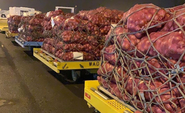  كميات من البصل السوداني بانتظار بيعها غدا السبت