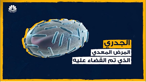بالفيديو.. ماذا فعل مرض الجدري بالعالم وكيف تم التغلب عليه؟