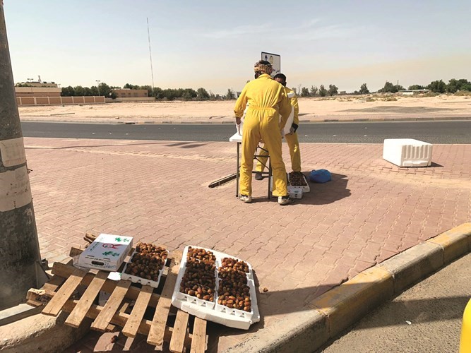 إزالة المخالفات