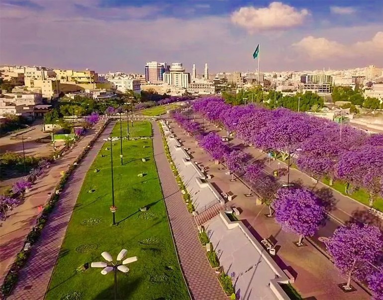 شاهد كيف تحولت مدينة سعودية إلى اللون البنفسجي