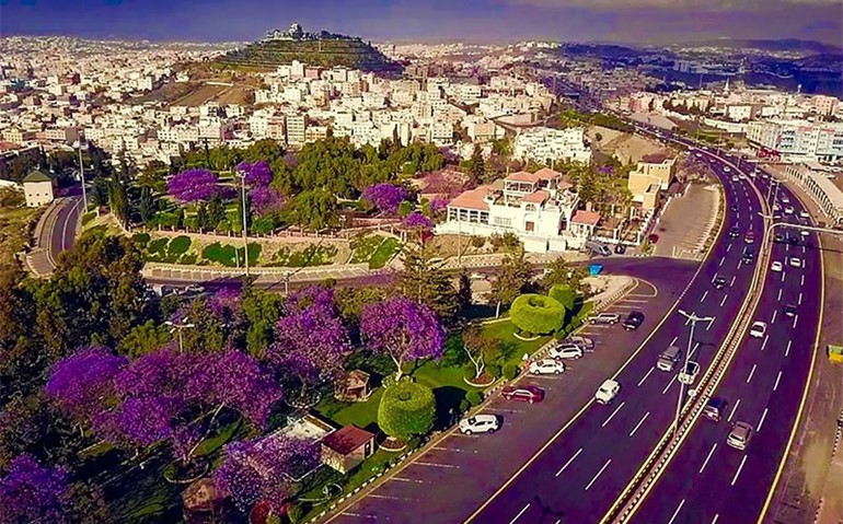 شاهد كيف تحولت مدينة سعودية إلى اللون البنفسجي