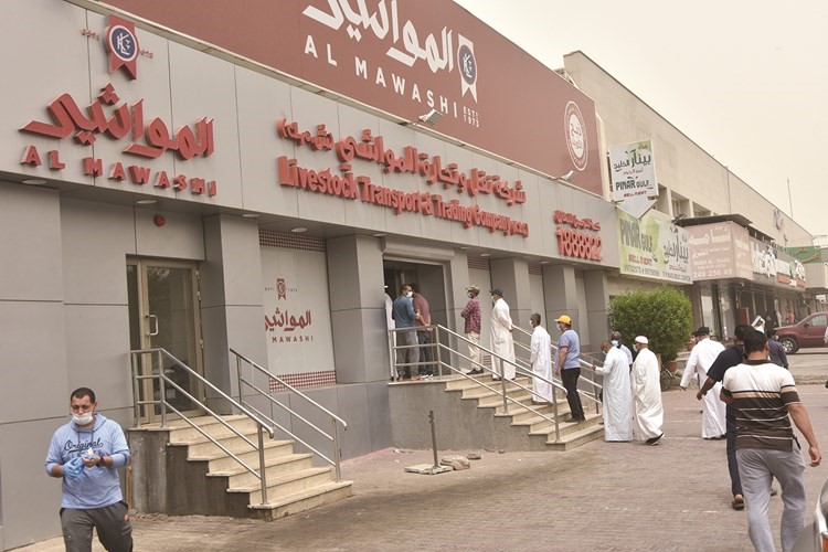 طابور من المتسوقين أمام المواشي في الشويخ