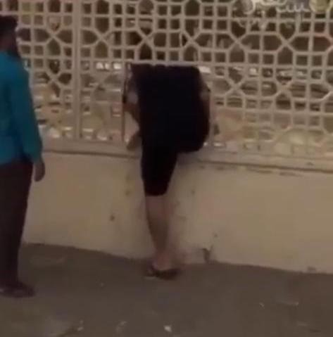 مصدر أمني: مقطع التجول في حديقة الفروانية قبل الحظر الكلي.. وتم اغلاق السور بعد الواقعة