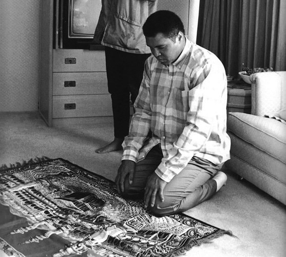 محمد علي 8