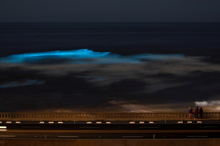 فيديو مدهش لطحالب تضيء شواطئ كاليفورنيا باللون الأزرق