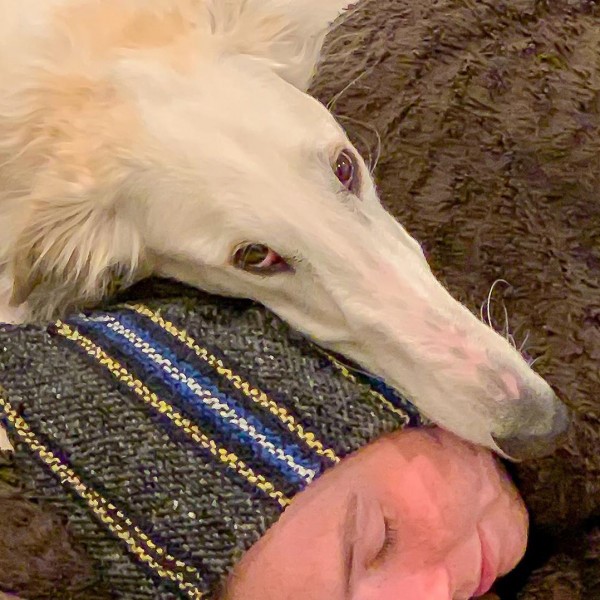 شاهد الكلبة "إيريس" صاحبة أطول أنف فى العالم