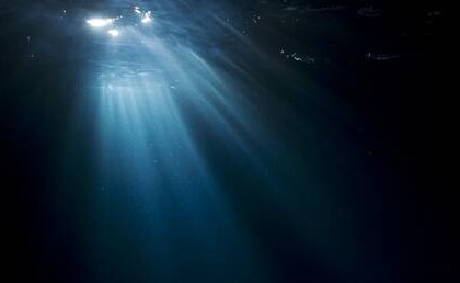 بالفيديو.. "كائنات غريبة مدهشة تحت الماء" تعيش في حرارة دون الصفر يصوّرها غواص مغامر