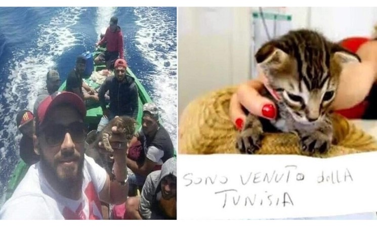 قصتها الاشهر بوسائل الاعلام الايطالية .. قطة تنجح "بالهجرة" من تونس إلى إيطاليا.. والسلطات تضعها في الحجر