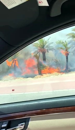 النيران وقد التهمت أشجار الخامس