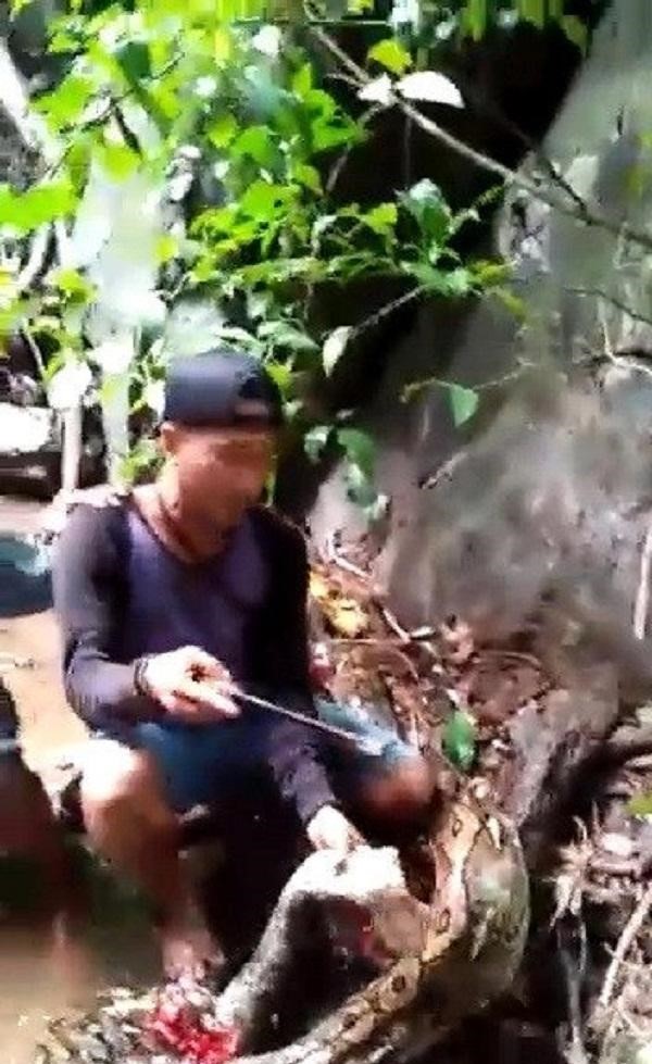 بالصور.. ثعبان ضخم يلتف على رقبة شاب ويخنقه حتى الموت أمام أصدقائه