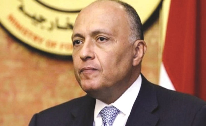 وزير الخارجية المصري سامح شكري