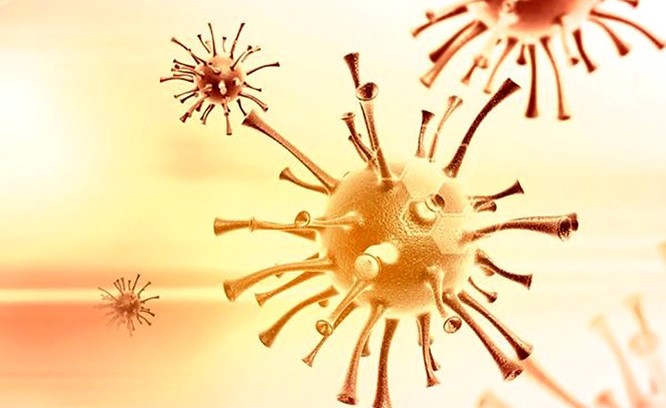 «جي 4».. فيروس جديد بالصين وجائحة محتملة