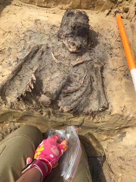 بالصور.. جثث مدفونة بقطع نقدية في أفواهها في مقبرة ضائعة